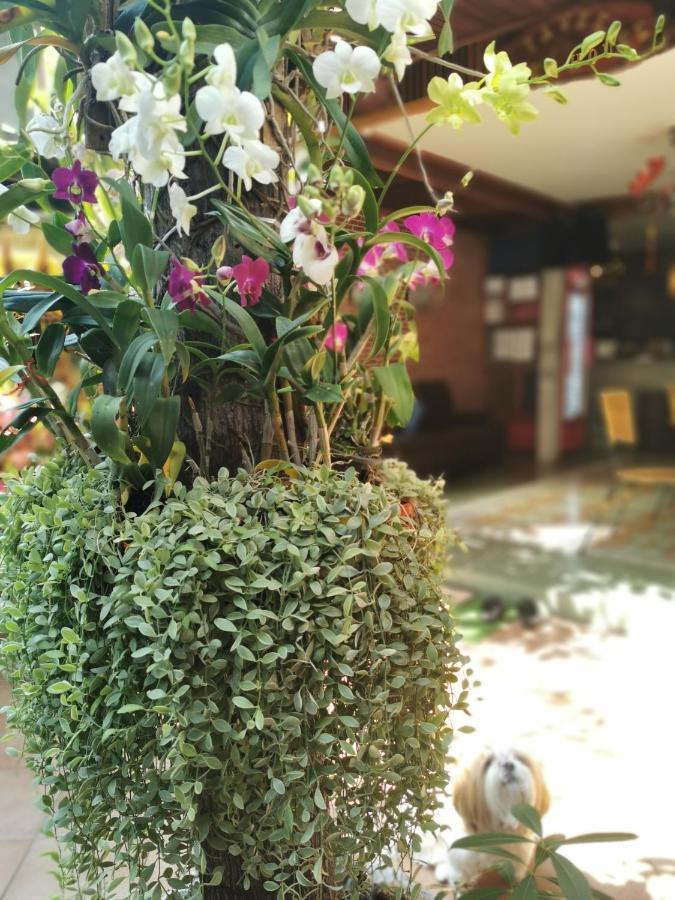 Tavee Guesthouse Bangkok Eksteriør bilde
